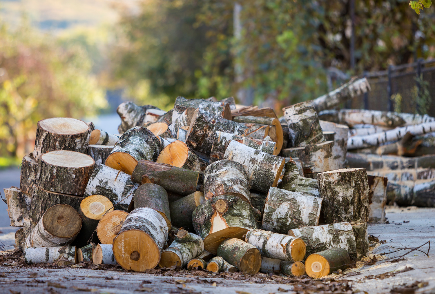 Ikon for Bjørkeved Hønefoss